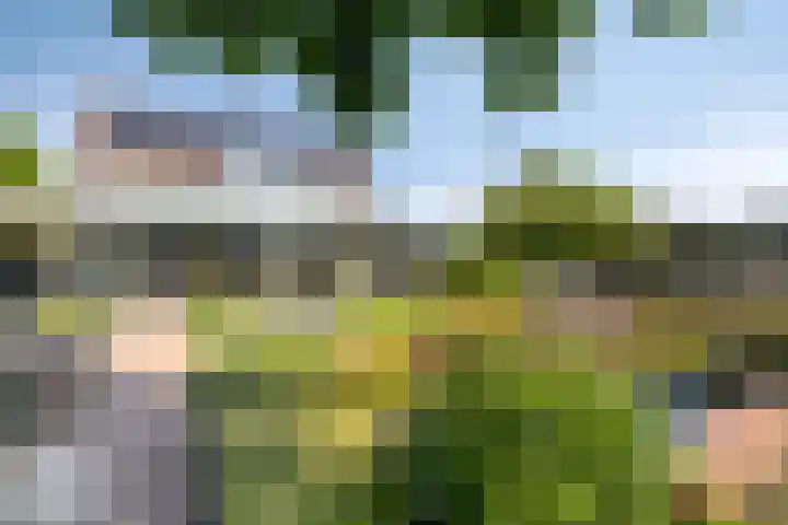Kersenbongerd 27 Dodewaard thumbnail 62