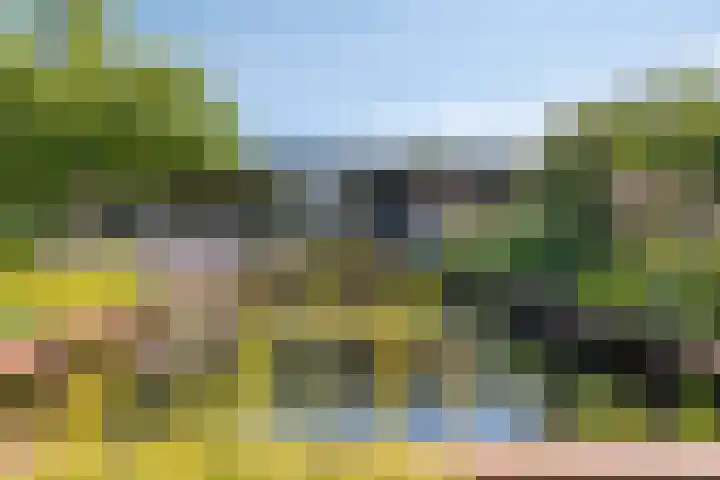 Kersenbongerd 27 Dodewaard thumbnail 63