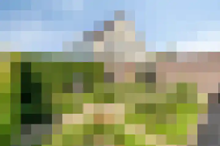 Kersenbongerd 27 Dodewaard thumbnail 64