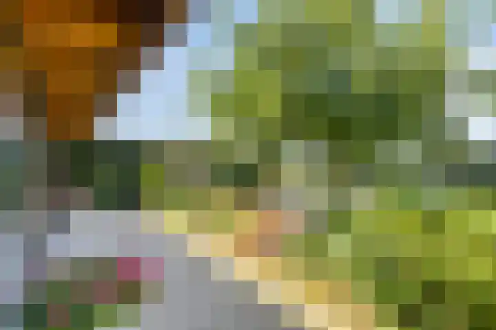 Kersenbongerd 27 Dodewaard thumbnail 65