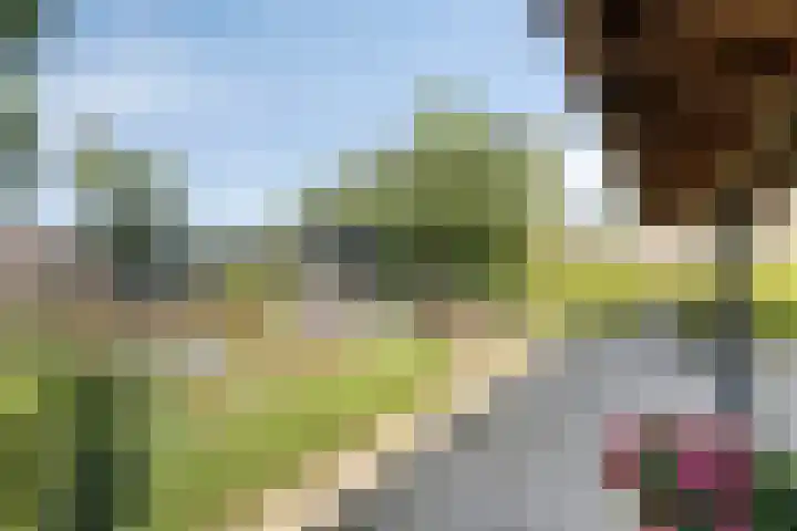 Kersenbongerd 27 Dodewaard thumbnail 66