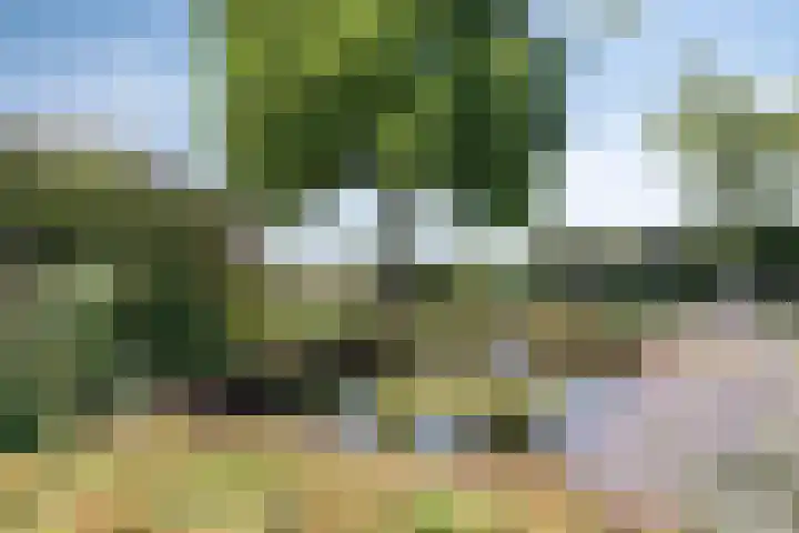 Kersenbongerd 27 Dodewaard thumbnail 67