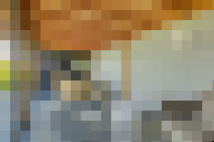 Kersenbongerd 27 Dodewaard thumbnail 69
