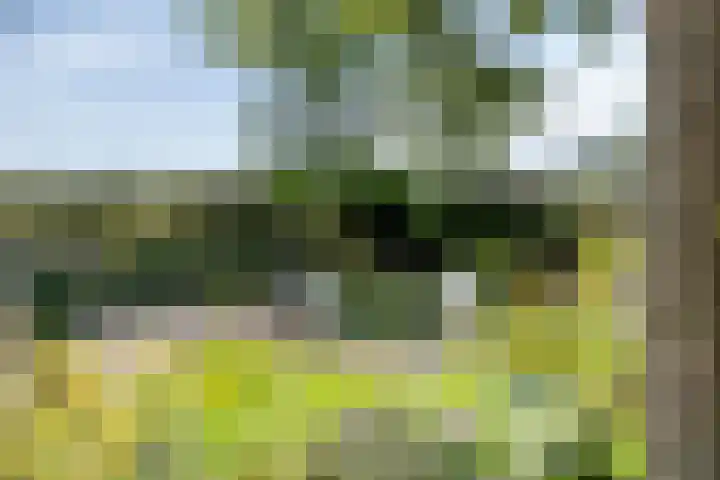 Kersenbongerd 27 Dodewaard thumbnail 71