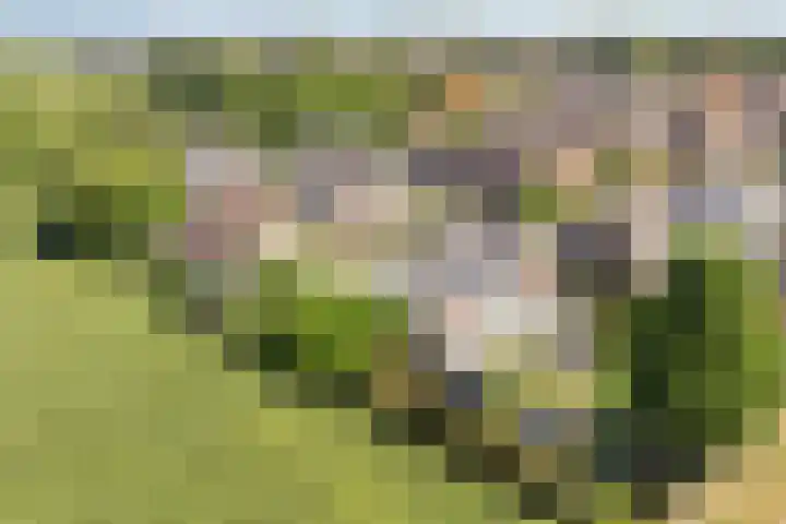 Kersenbongerd 27 Dodewaard thumbnail 74