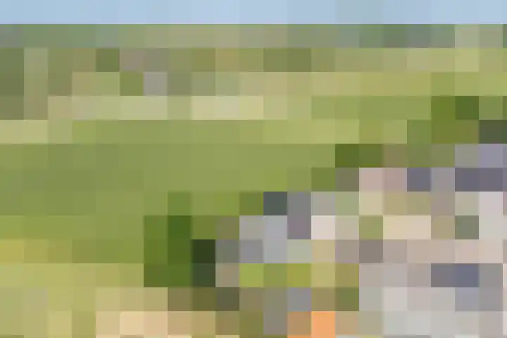 Kersenbongerd 27 Dodewaard thumbnail 75