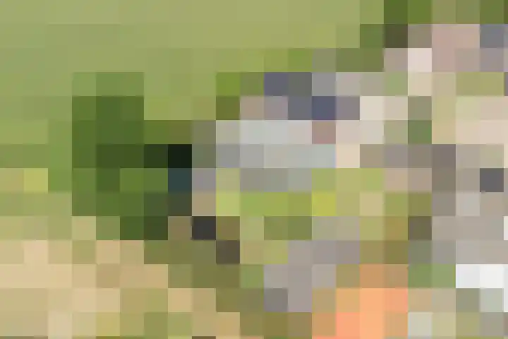 Kersenbongerd 27 Dodewaard thumbnail 76