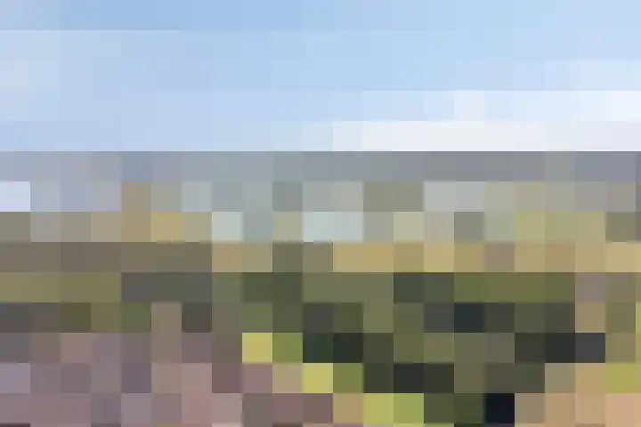 Kersenbongerd 27 Dodewaard thumbnail 78