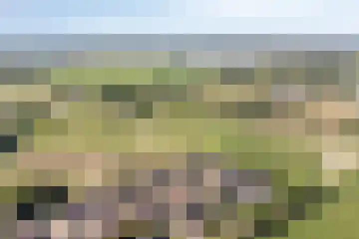 Kersenbongerd 27 Dodewaard thumbnail 79