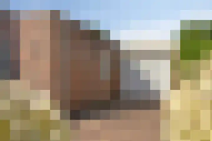 Kersenbongerd 27 Dodewaard thumbnail 8