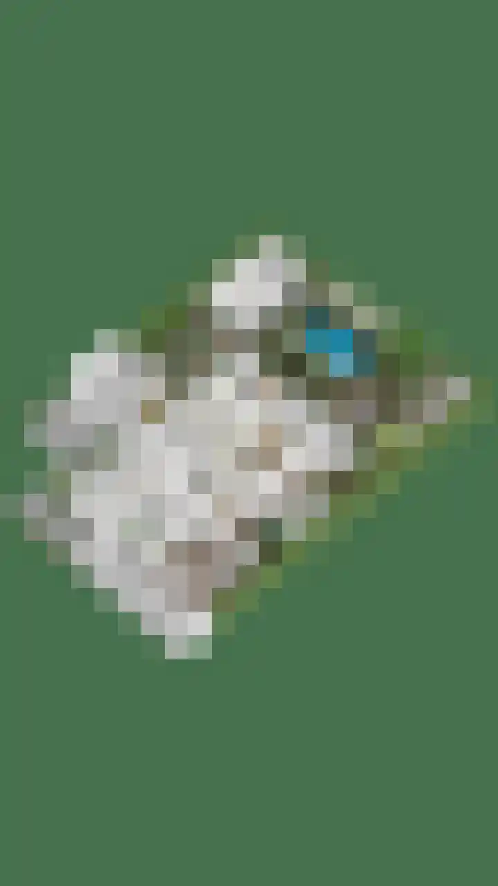Kersenbongerd 27 Dodewaard thumbnail 87