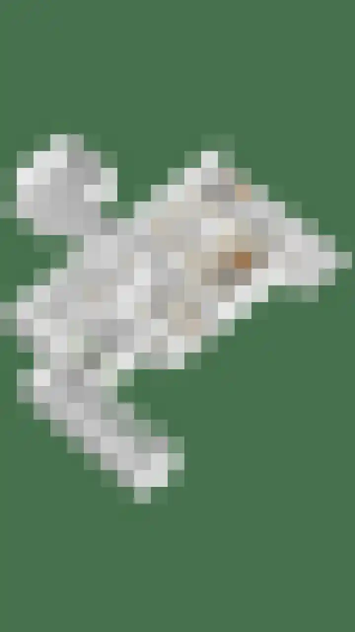 Kersenbongerd 27 Dodewaard thumbnail 88