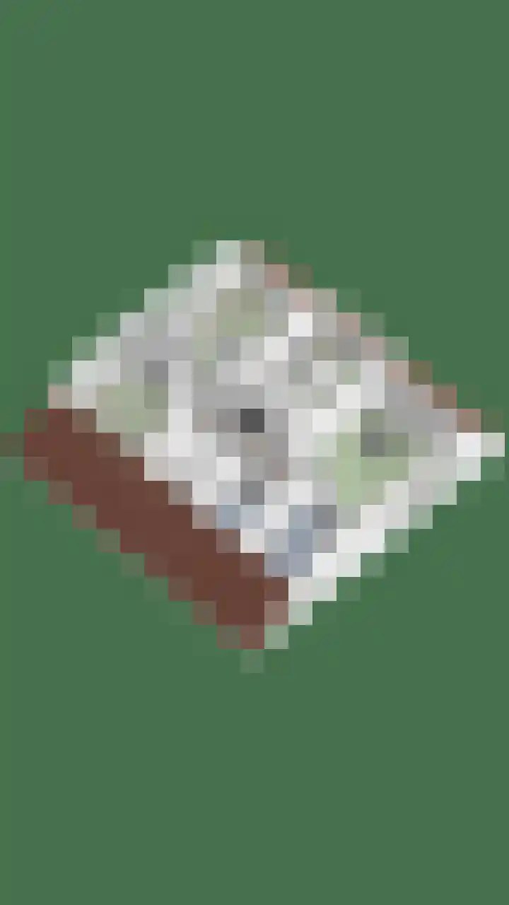 Kersenbongerd 27 Dodewaard thumbnail 89