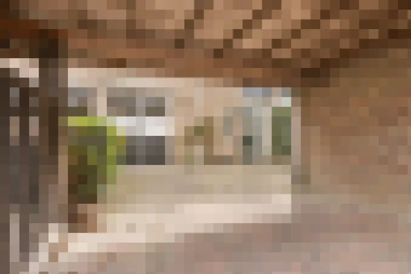 Kersenbongerd 7 Huissen thumbnail 4