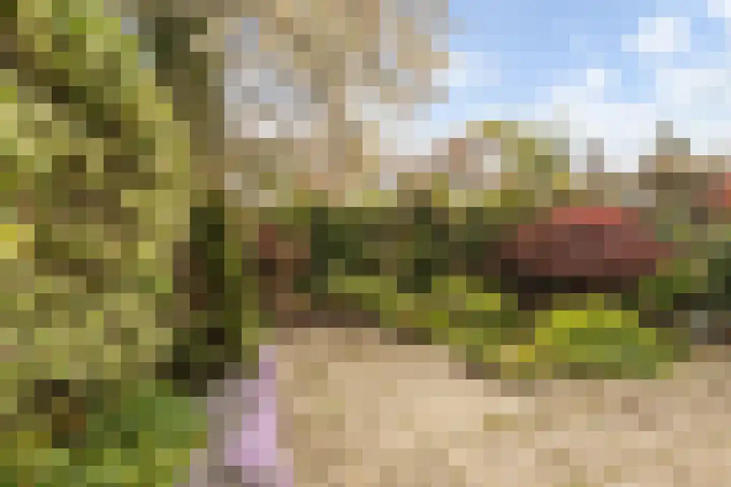 Kersenbongerd 7 Huissen thumbnail 8