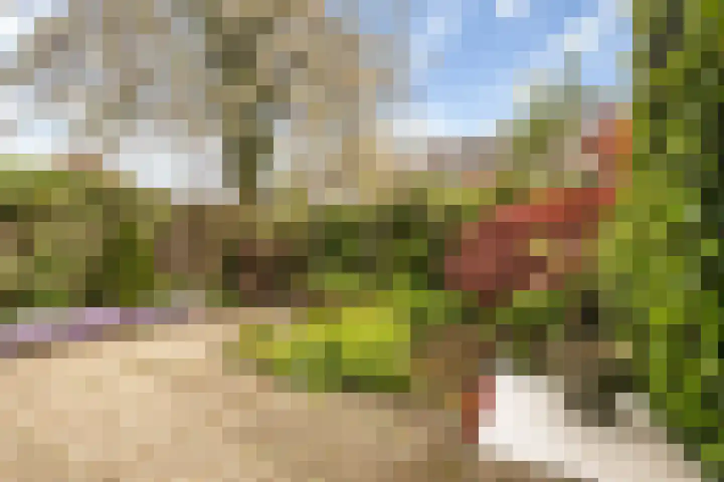Kersenbongerd 7 Huissen thumbnail 9