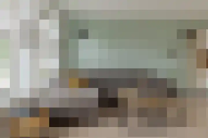 Kersenboom 14 Leek thumbnail 13