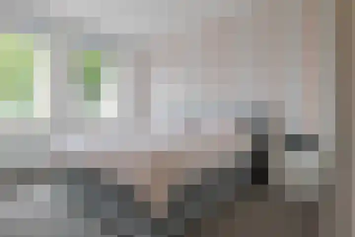 Kersenboom 14 Leek thumbnail 23