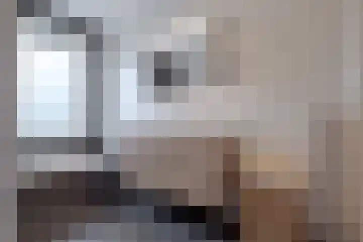 Kersenboom 14 Leek thumbnail 4