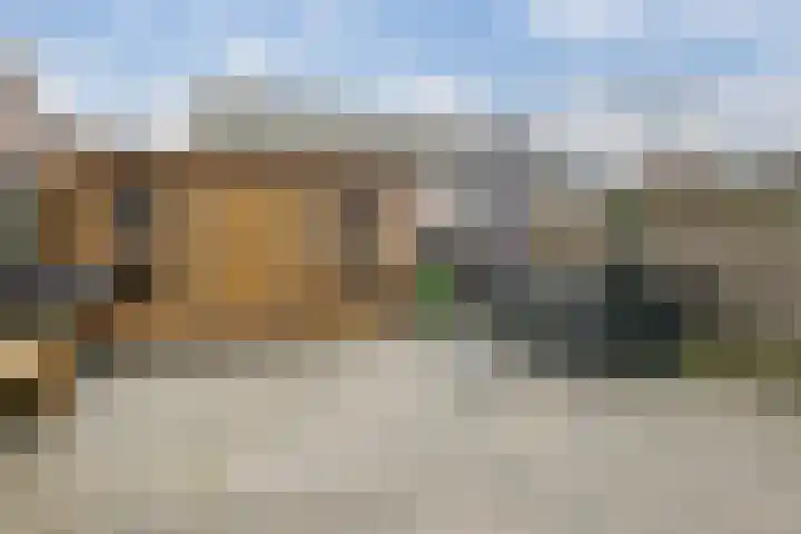 Kersenboom 14 Leek thumbnail 45