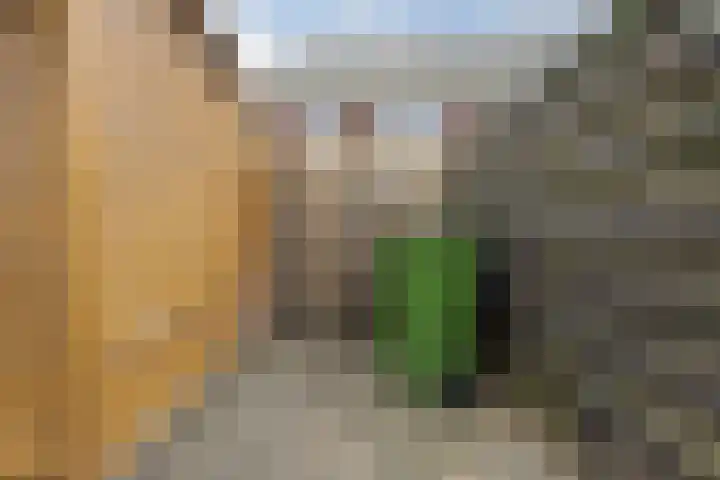 Kersenboom 14 Leek thumbnail 48