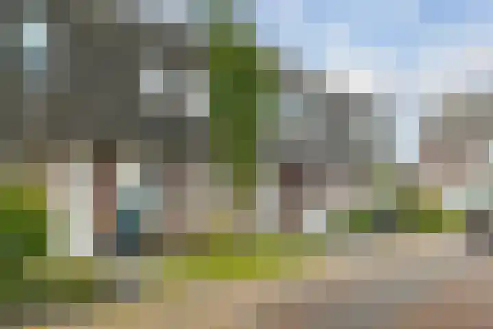 Kersenboom 14 Leek thumbnail 5