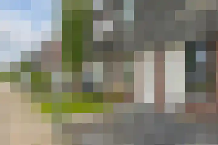 Kersenboom 14 Leek thumbnail 9