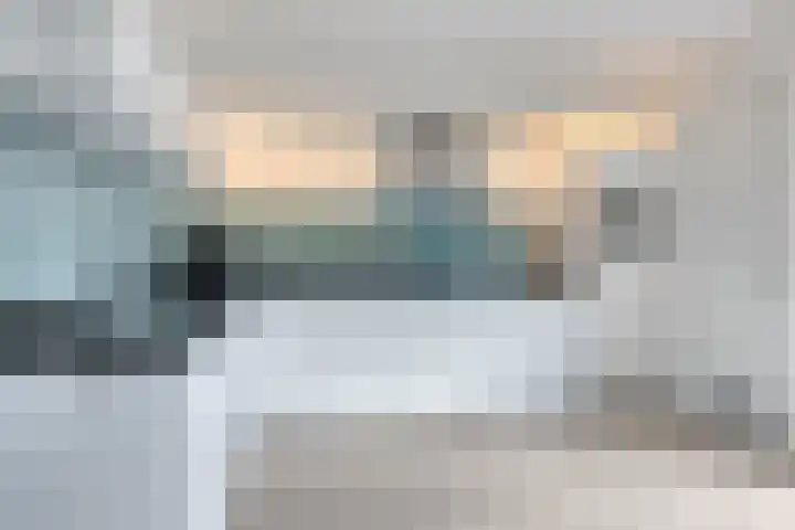 Kersenboom 18 Leek thumbnail 17