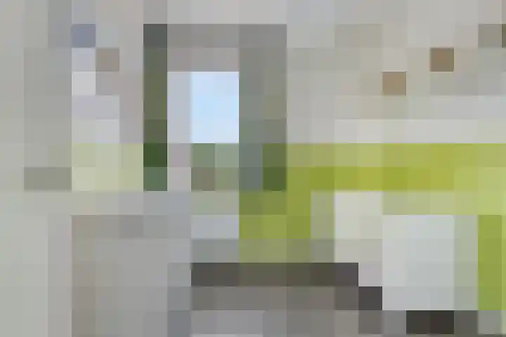 Kersenboom 18 Leek thumbnail 24