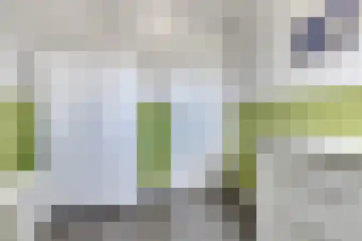 Kersenboom 18 Leek thumbnail 25