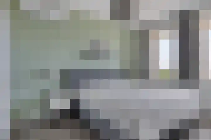Kersenboom 18 Leek thumbnail 26