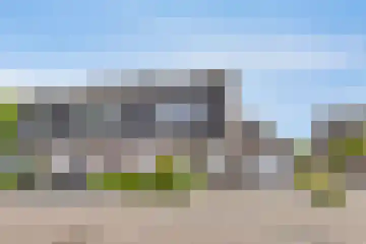 Kersenboom 18 Leek thumbnail 54