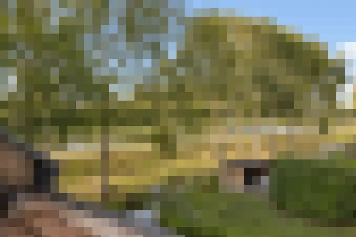 Kersendreef 15 Arkel thumbnail 32
