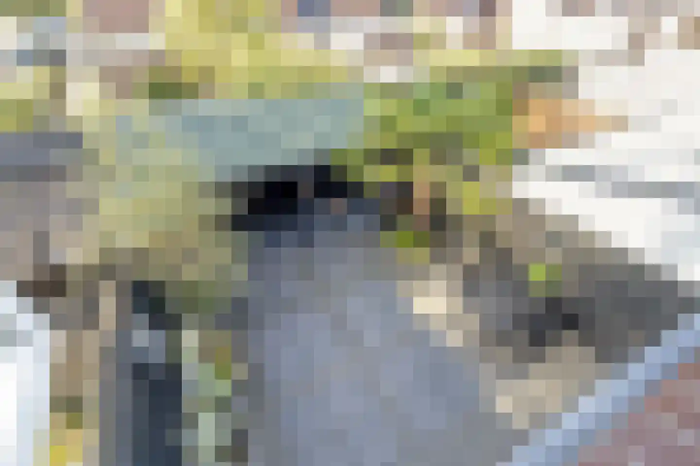 Kersendreef 3 Rozenburg thumbnail 28