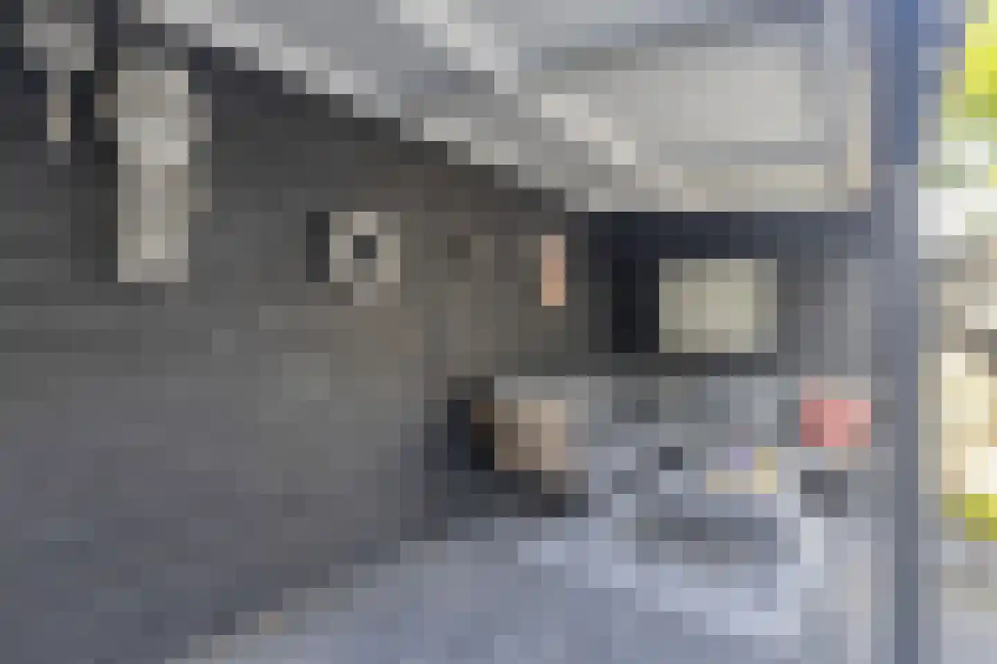 Kersendreef 3 Rozenburg thumbnail 31