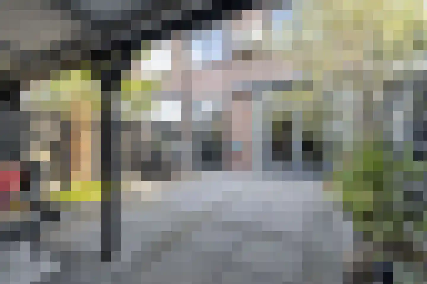 Kersendreef 3 Rozenburg thumbnail 32