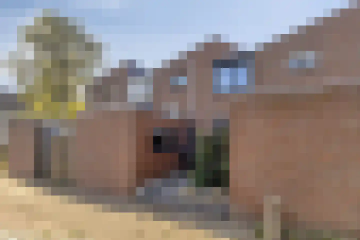 Kersendreef 3 Rozenburg thumbnail 7