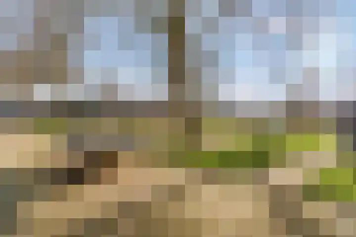 Kersengaard 10 Ochten thumbnail 49