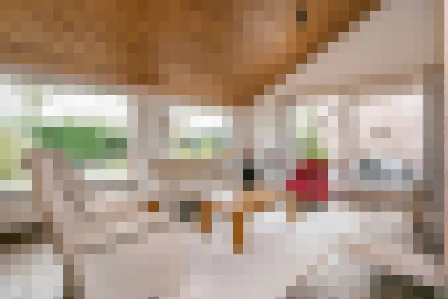 Kersengaard 13 Wijk bij Duurstede thumbnail 10