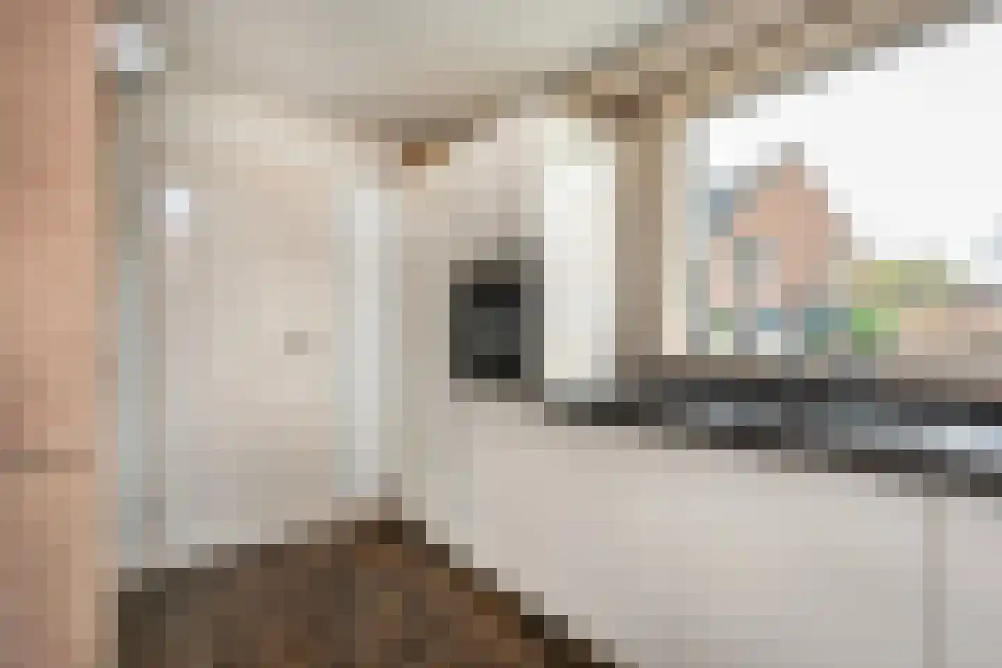 Kersengaard 13 Wijk bij Duurstede thumbnail 18