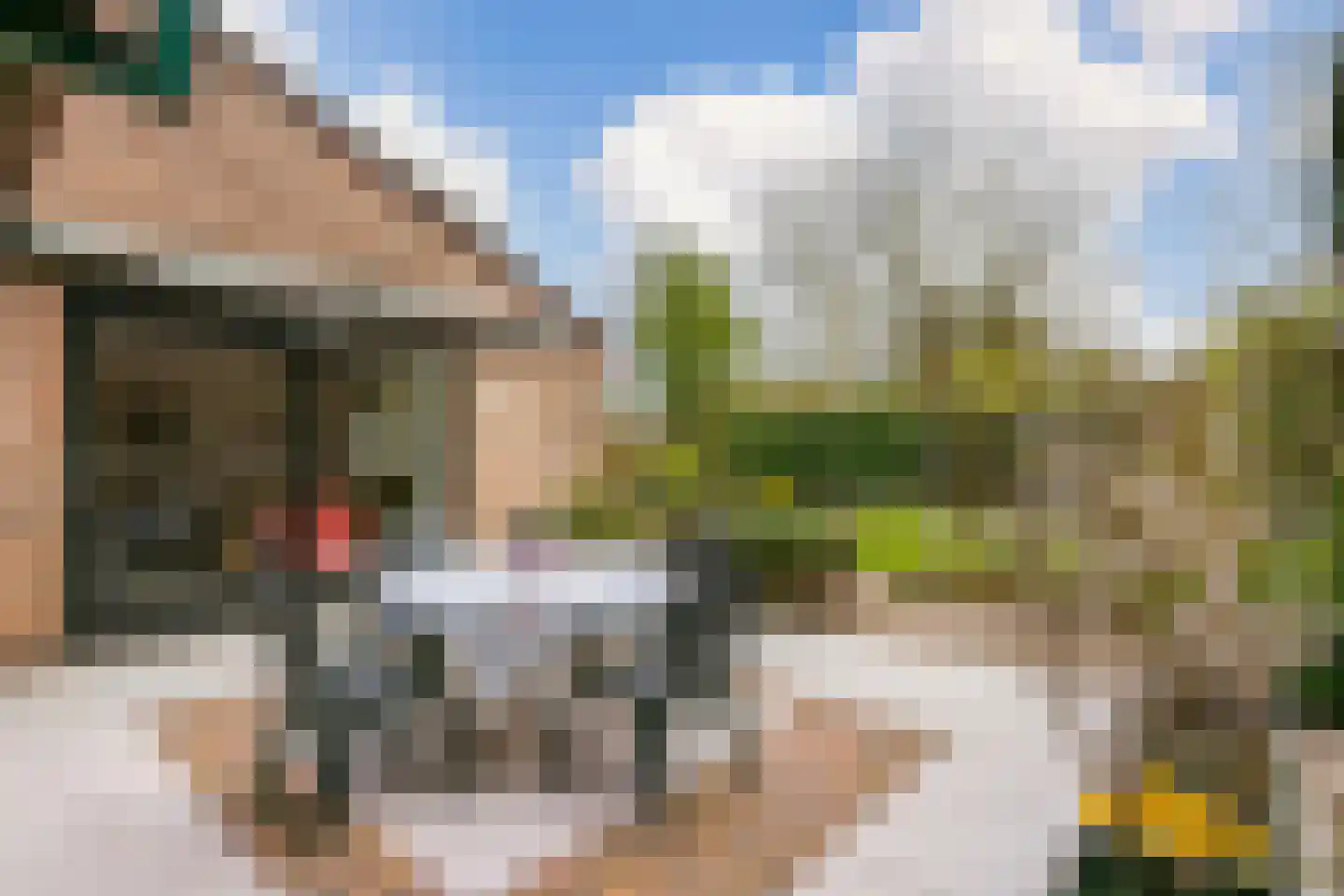 Kersengaard 13 Wijk bij Duurstede thumbnail 23