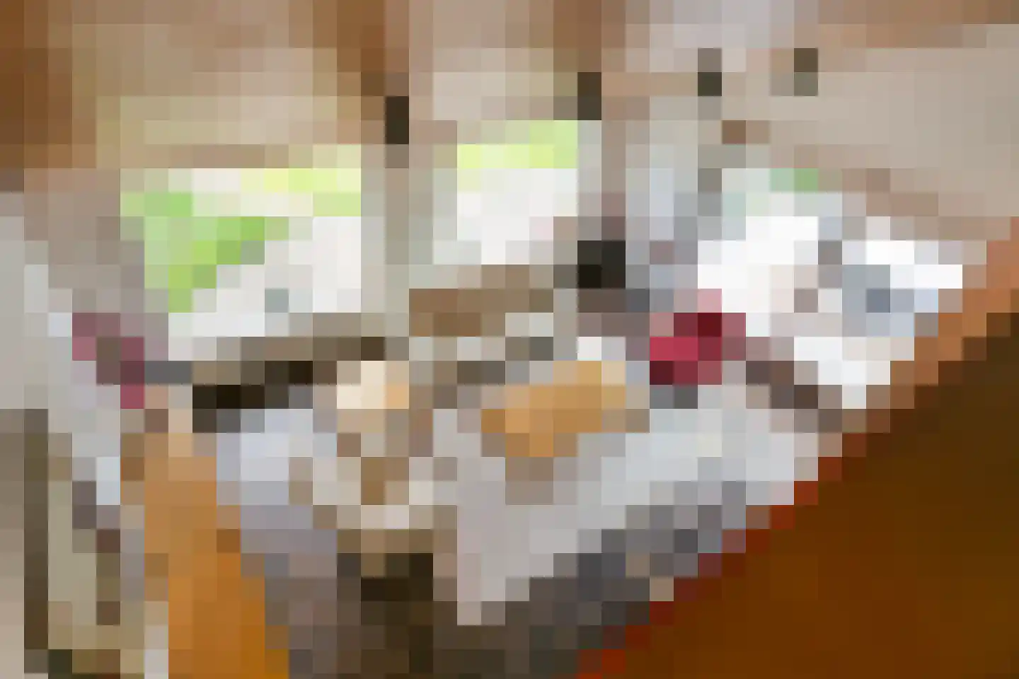 Kersengaard 13 Wijk bij Duurstede thumbnail 33