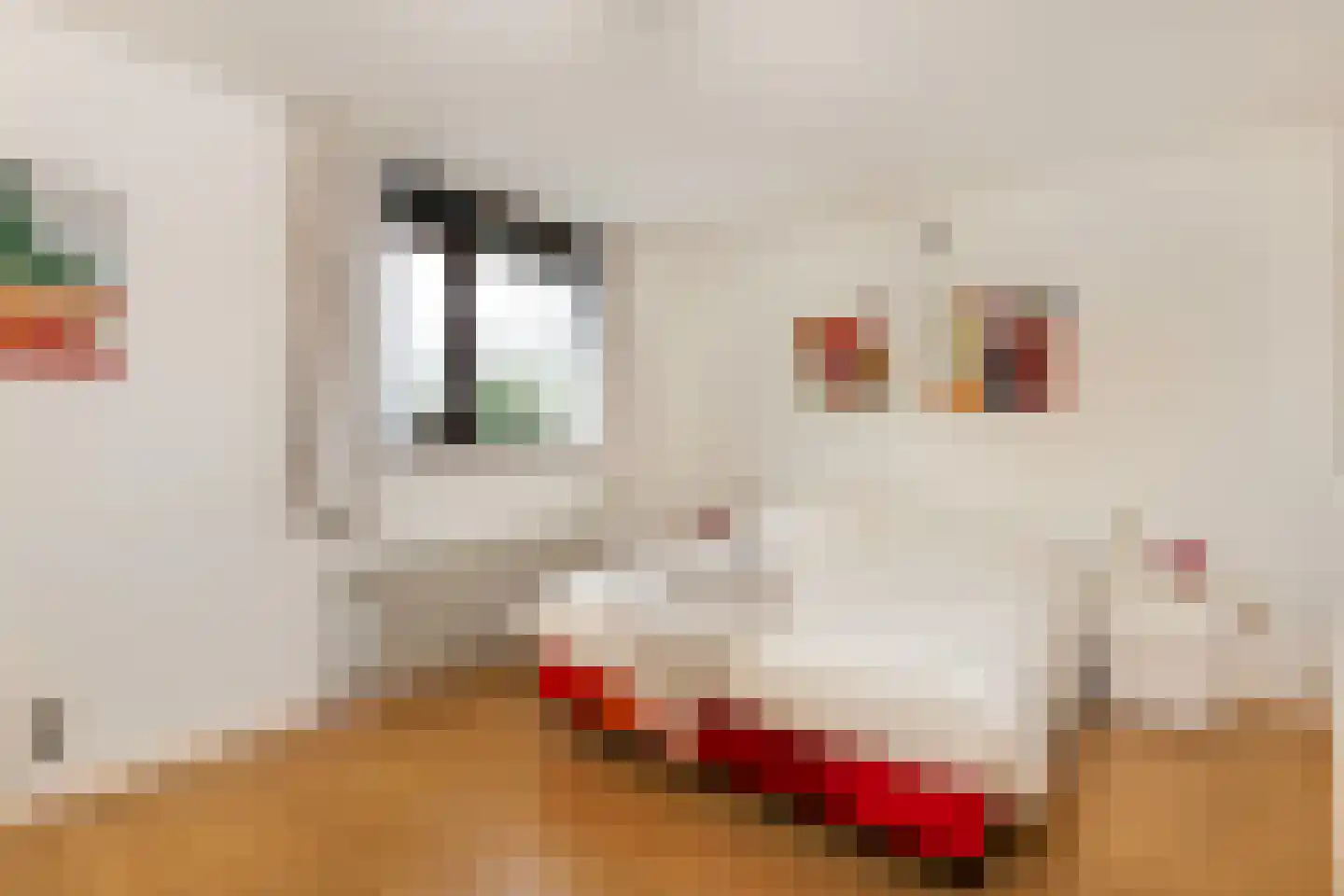 Kersengaard 13 Wijk bij Duurstede thumbnail 36
