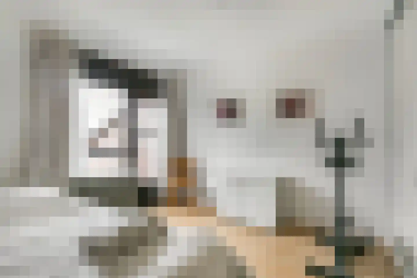 Kersengaard 13 Wijk bij Duurstede thumbnail 43