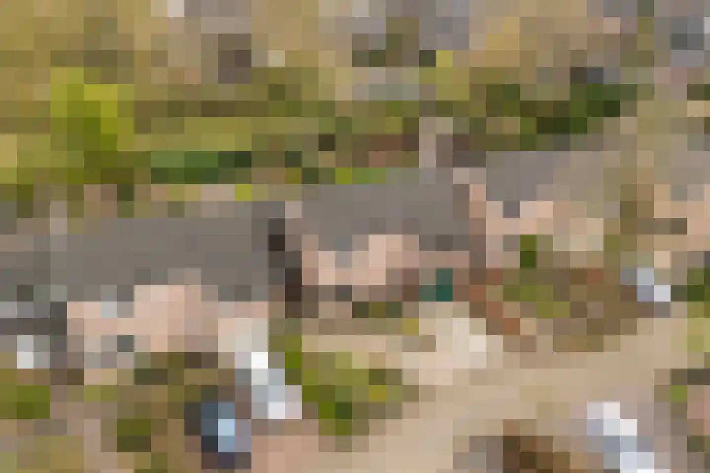 Kersengaard 13 Wijk bij Duurstede thumbnail 47