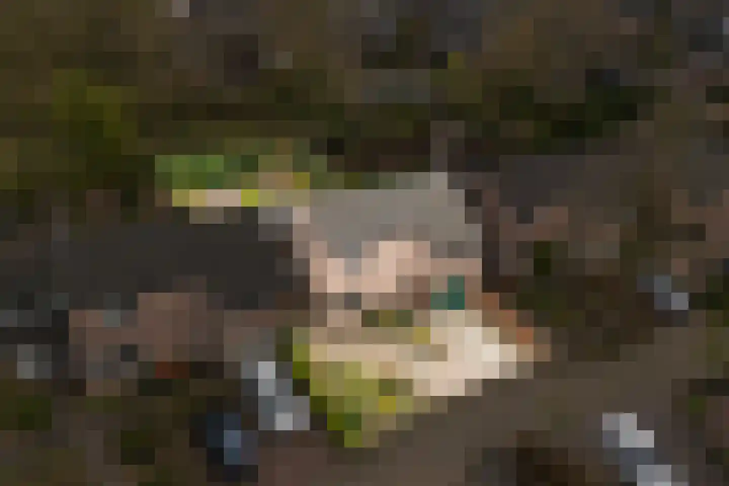 Kersengaard 13 Wijk bij Duurstede thumbnail 48