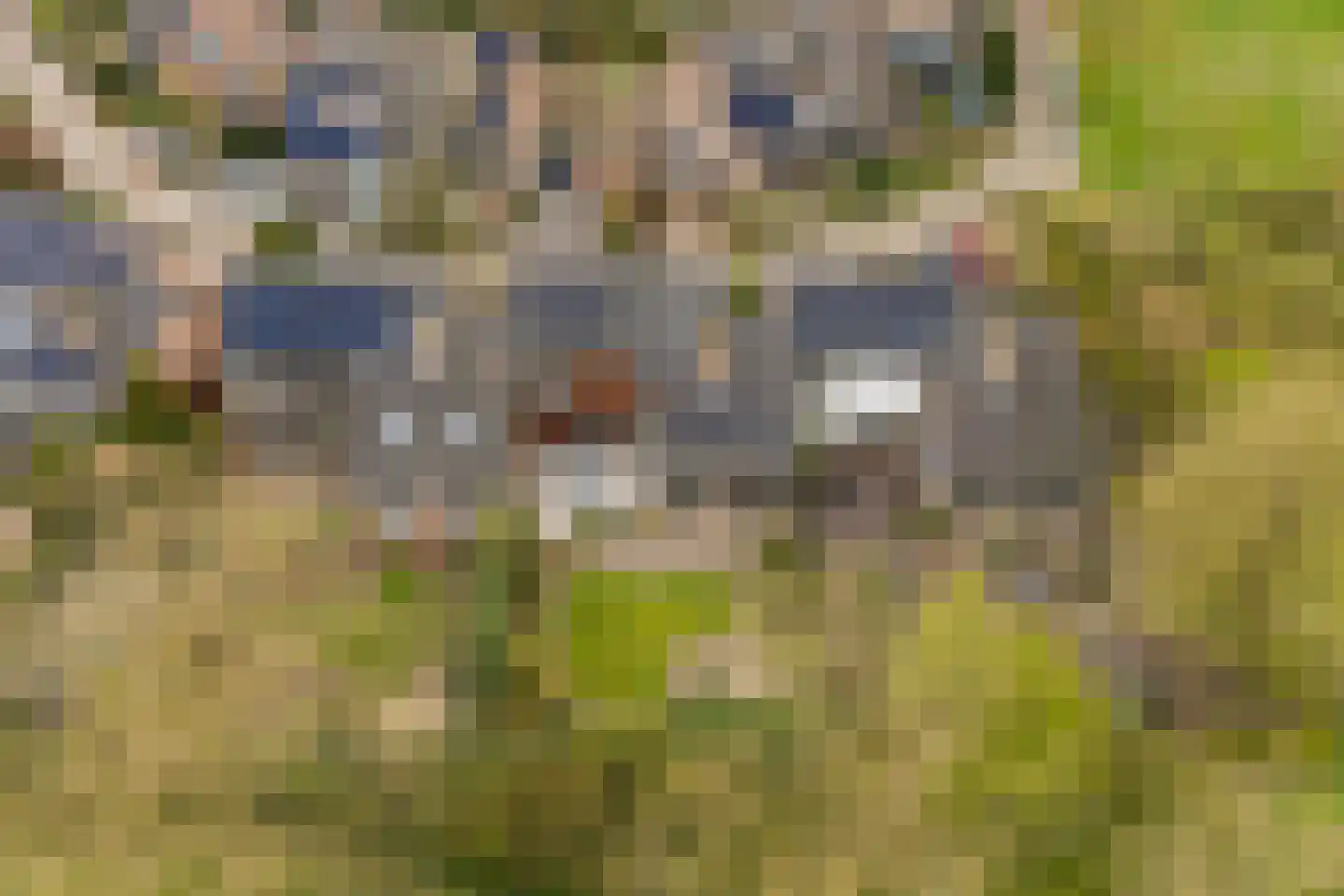 Kersengaard 13 Wijk bij Duurstede thumbnail 50