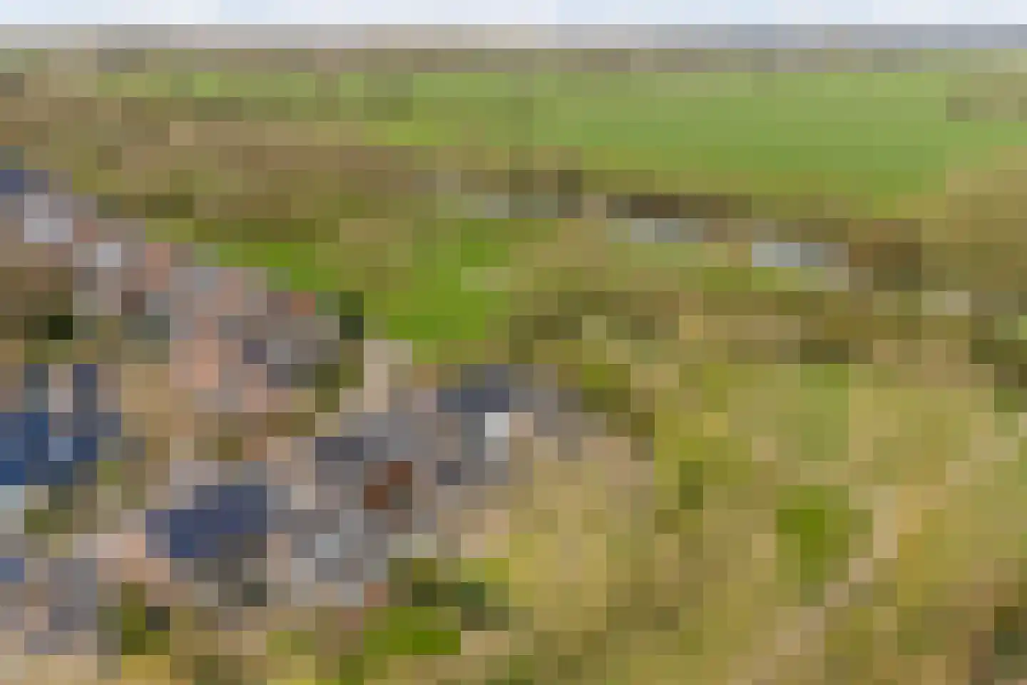 Kersengaard 13 Wijk bij Duurstede thumbnail 51