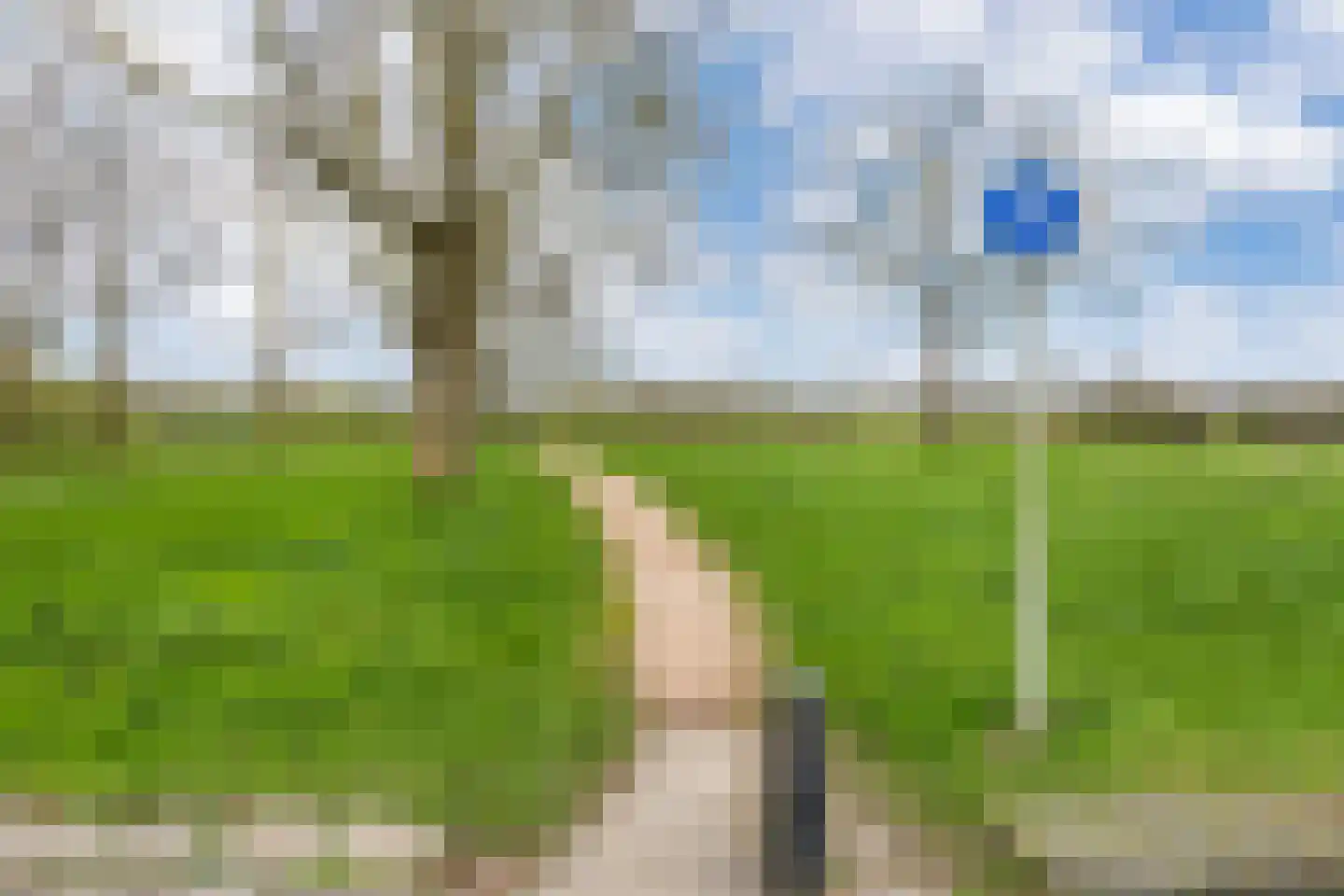 Kersengaard 13 Wijk bij Duurstede thumbnail 55