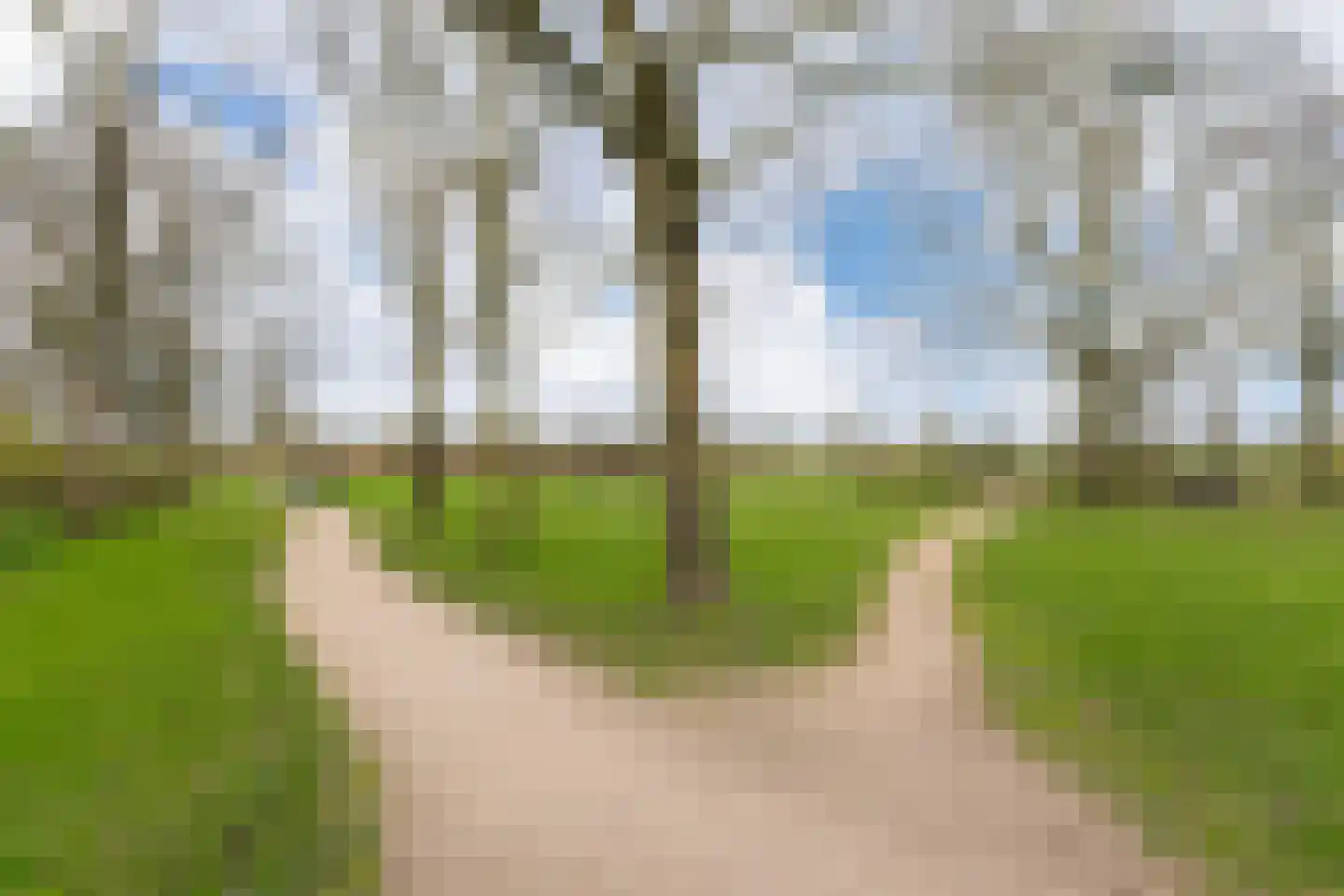 Kersengaard 13 Wijk bij Duurstede thumbnail 56